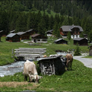 HK_Hirschsee _45_.jpg
