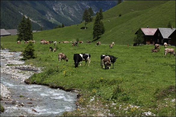 HK_Hirschsee _46_.jpg