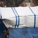 Möglicher Ursprungsort für Cholera auf Haiti