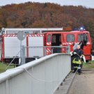 28102010wildschweinfibaktivnews_02.JPG