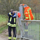 28102010wildschweinfibaktivnews_09.JPG
