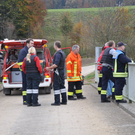 28102010wildschweinfibaktivnews_12.JPG