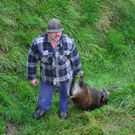 28102010wildschweinfibaktivnews_14.JPG
