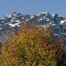 k-_DSC0138_bearbeitet-1_jpg-1288328458