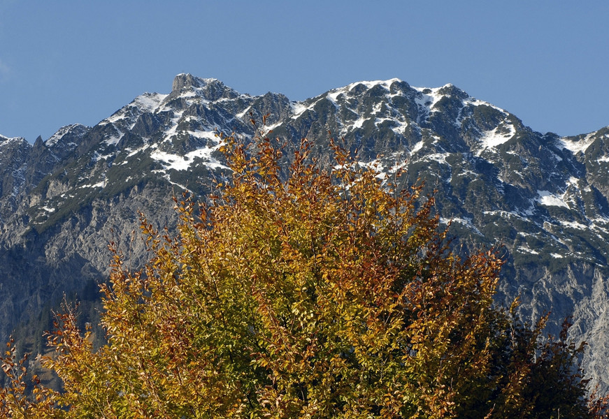 k-_DSC0138_bearbeitet-1_jpg-1288328458