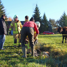 Kuh droht in Riedgraben in Lustenau zu ertrinken