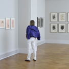 Künstler Arnulf Rainer 