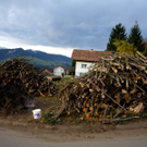 Bilder