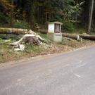 P1070878_jpg-1288429837