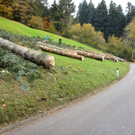 P1070886_jpg-1288429867