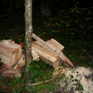 P1070891_jpg-1288429879