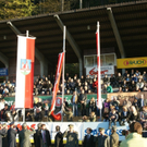 DSC03063_JPG-1288435059