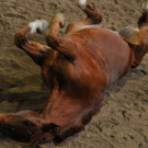 DSC_0071.JPG