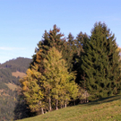 PA290001_JPG-1288471895