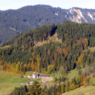PA290002_JPG-1288471906