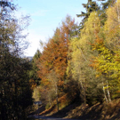 PA290005_JPG-1288471921