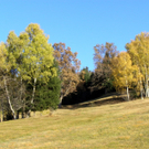 PA290016_JPG-1288471940