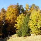 PA290028_JPG-1288471968