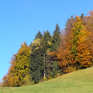 PA290029_JPG-1288471978