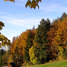 PA290035_JPG-1288471997