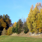 PA290039_JPG-1288472015