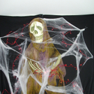 mary 021_jpg-1288497099.jpg