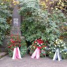 Kr__nze 1a_JPG-1288520624