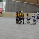 DSC_0466_JPG-1288533003