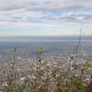 DSC_0128.JPG