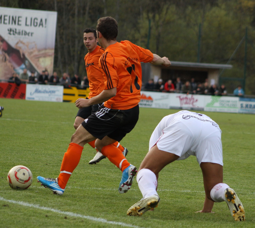 Egg - Roehtis 010 118_jpg-1288549783