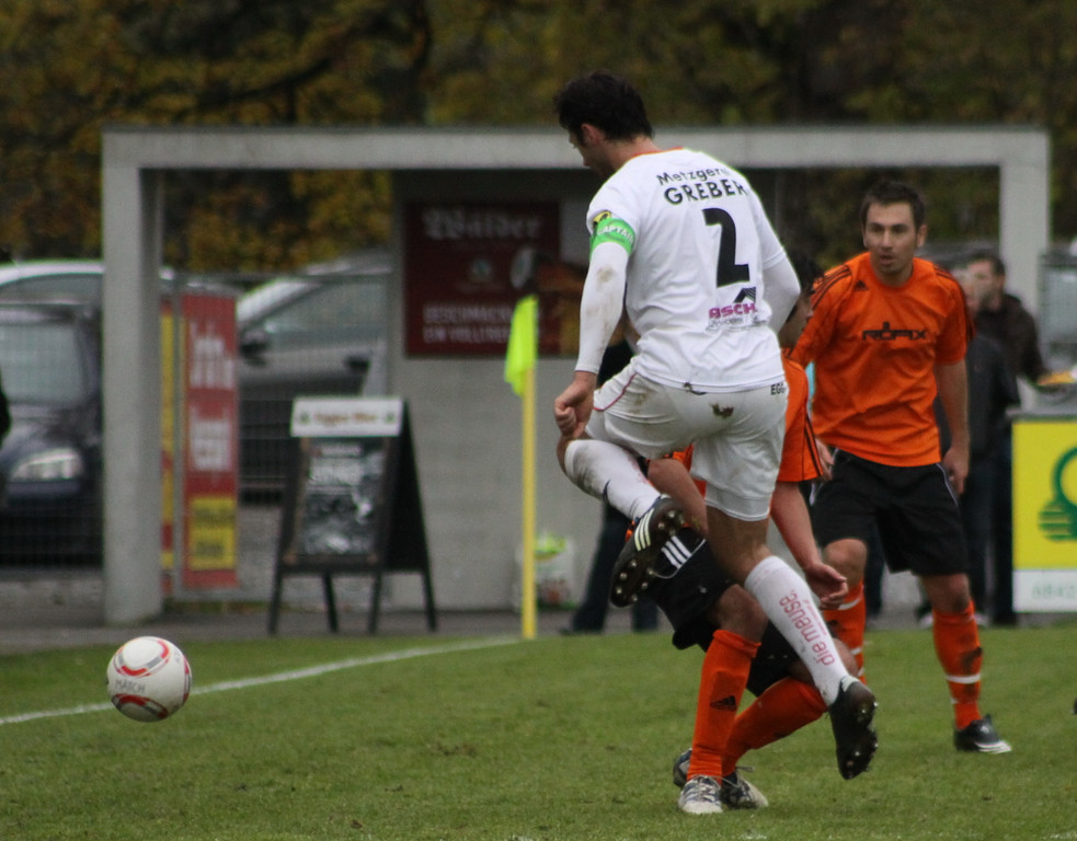 Egg - Roehtis 010 201_jpg-1288550397