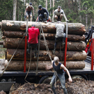 wild sau dirt run 2010 - florian wieser _12_.jpg