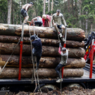 wild sau dirt run 2010 - florian wieser _13_.jpg