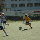 DSC_4247.jpg