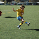 DSC_4279.jpg