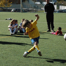 DSC_4285.jpg