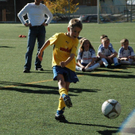 DSC_4291.jpg