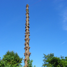 104_9362_jpg-1288596031