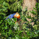 104_9363_jpg-1288596043
