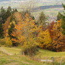 PA311384.jpg