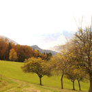 PA311382.jpg