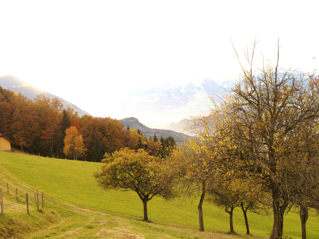PA311382.jpg