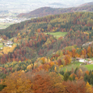 PA311383.jpg