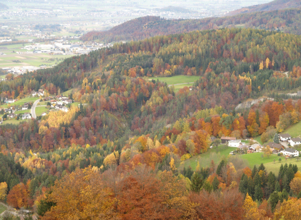 PA311383.jpg