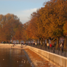 Bilderserie eines herrlichen Herbsttages
