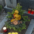 k-018_bearbeitet-1_jpg-1288635191