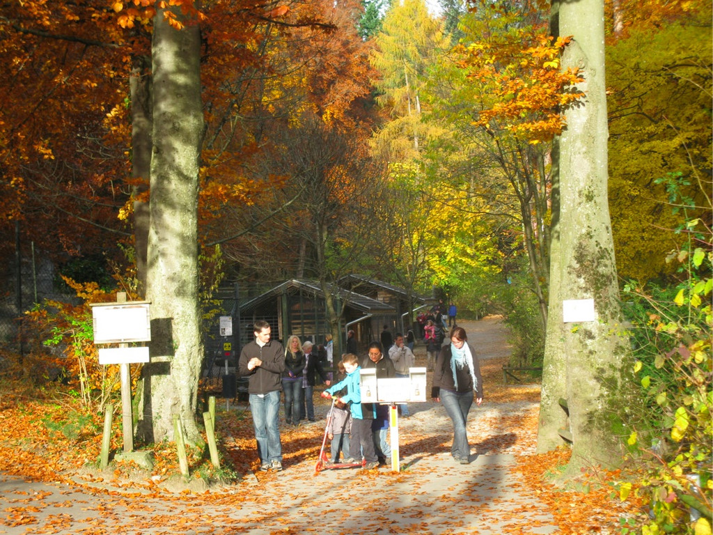 BK_wildpark 3_jpg-1288638406