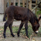 DSC03160.JPG