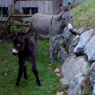 DSC03162.JPG