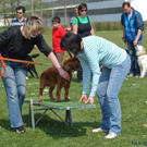 JH246004_Ausbildungskurs.JPG